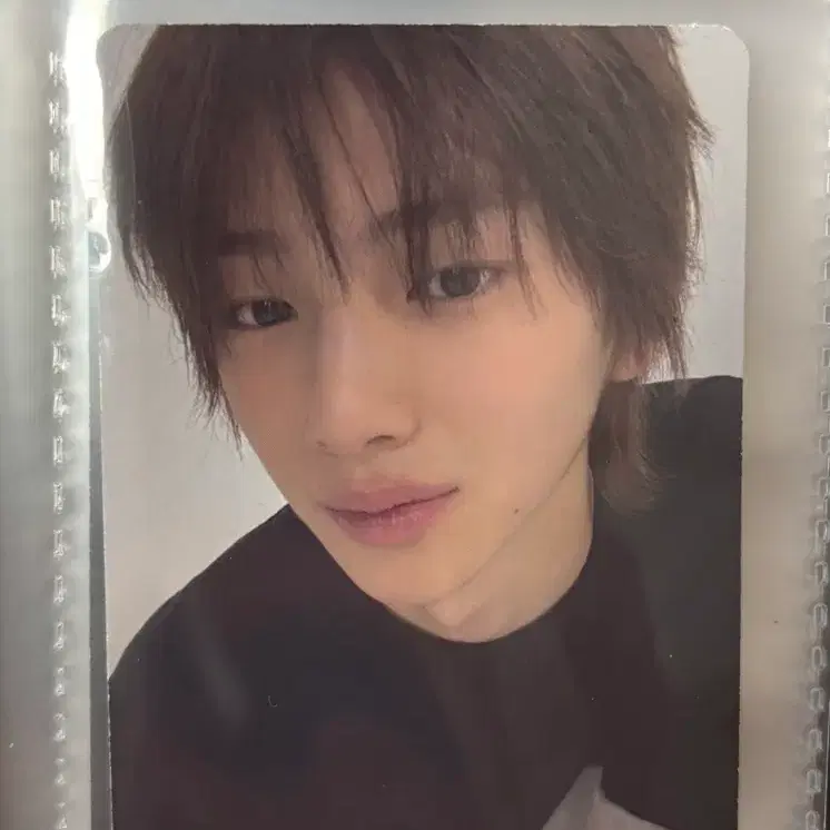 코르티스 주훈 포카