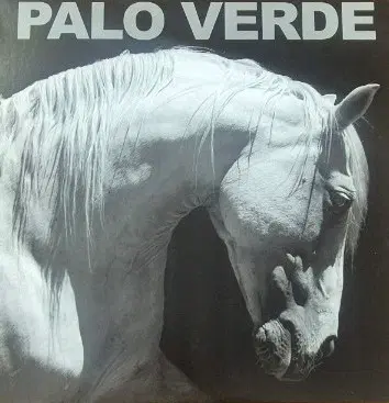 PALO VERDE LP