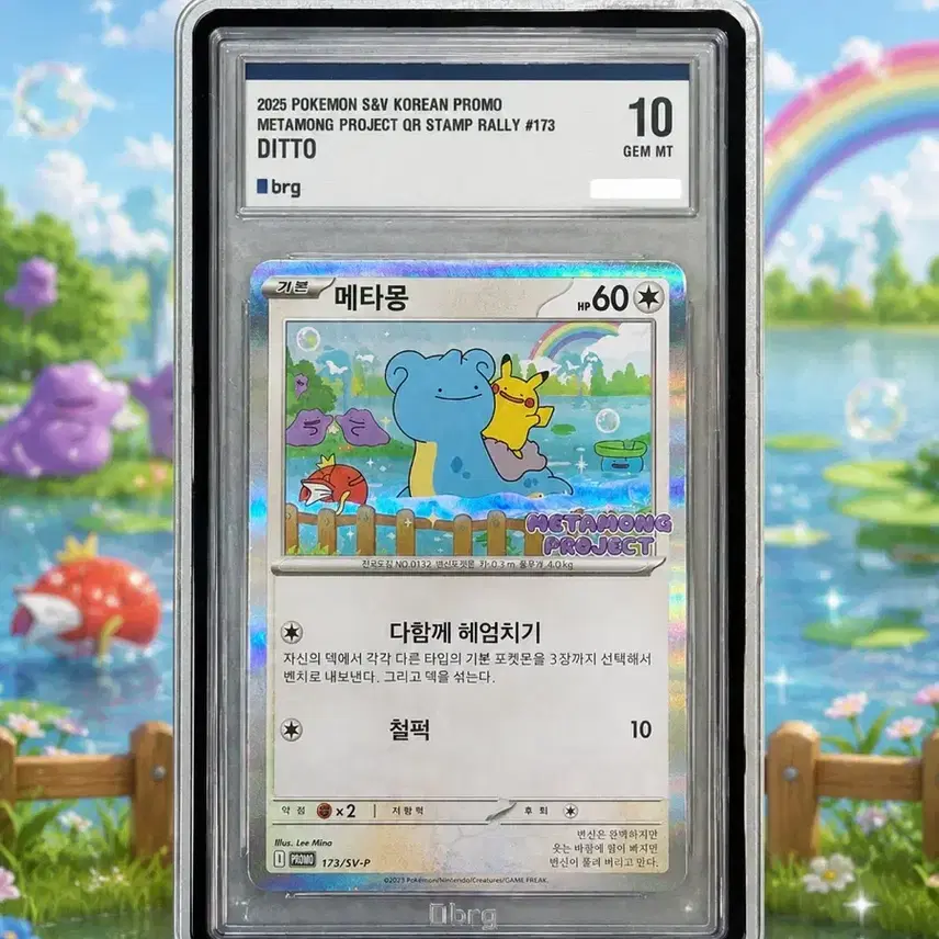포켓몬카드 메타몽 프로모 brg10 사진 1