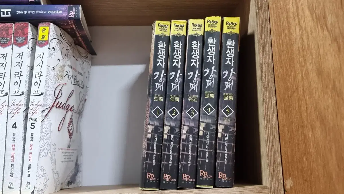 환생자강패 1-5 완 태진 현대 판타지 소설