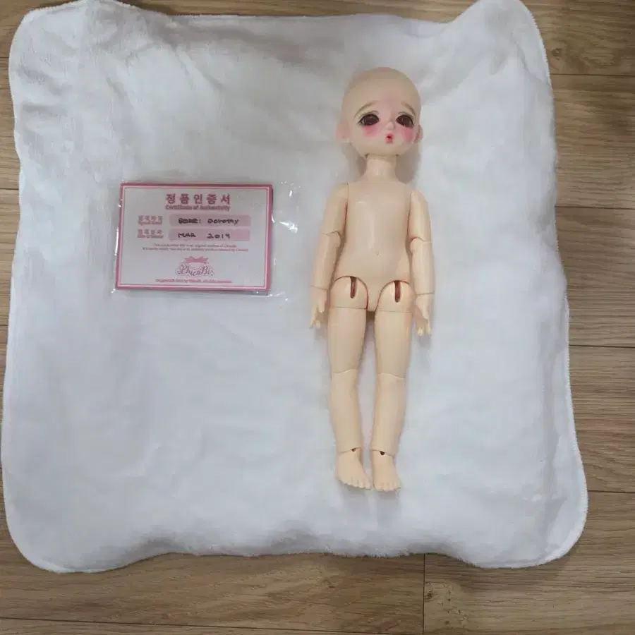 구체관절
