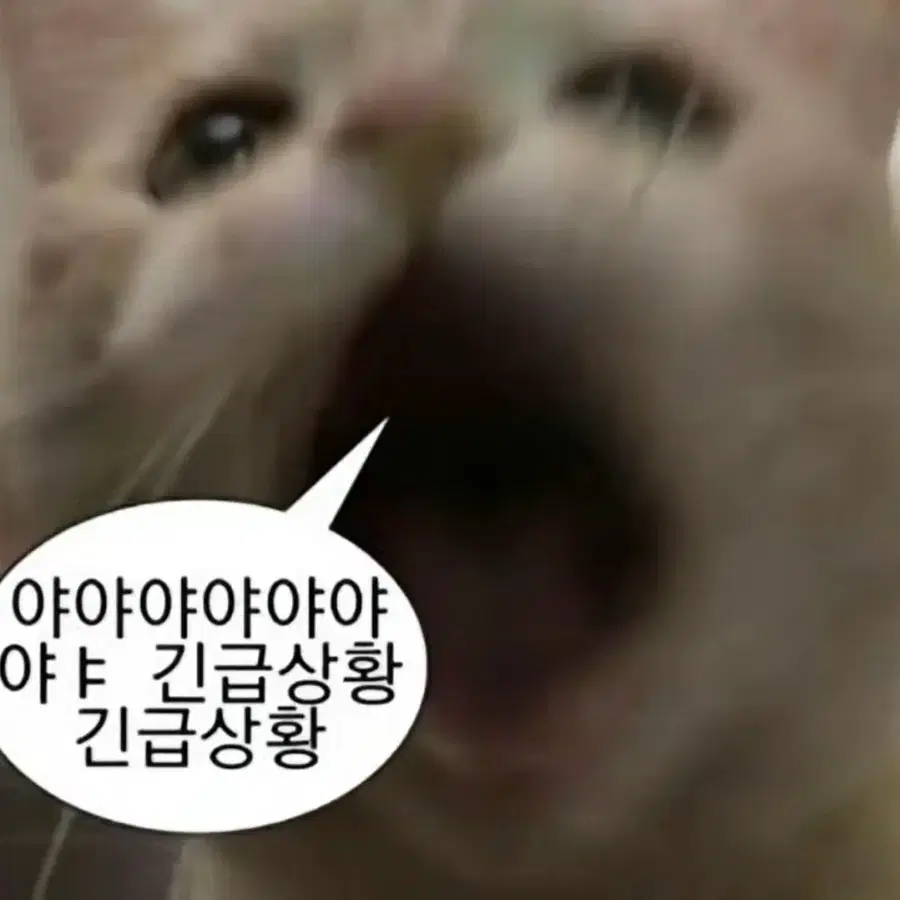 앵보 비공식/공식 굿즈 삽니다!!..ㅜㅜ