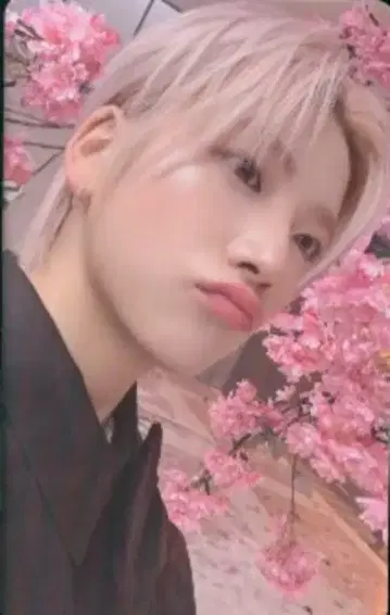 &TEAM Weverse GLOBAL FS YUMA 설광(Yukiakari) 1
