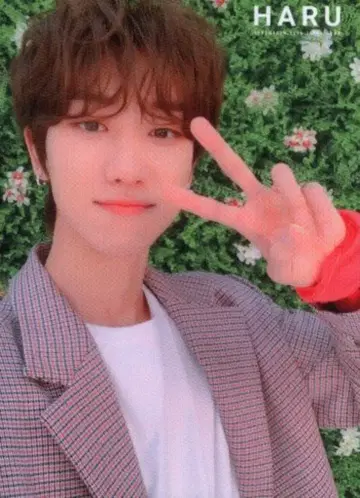 세븐틴 더팔이 2019 하루 42
