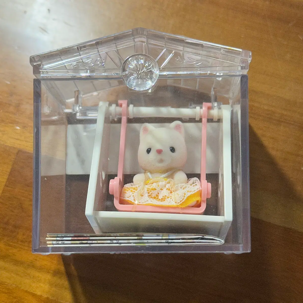 실바니안 그네타는 아기고양이