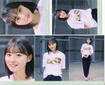 노기자카46 WEBSHOP 한정판 엔도 사쿠라 나는 나를 좋아하게 된다 MV 5장 컴프