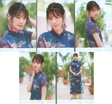 노기자카46 WEBSHOP 한정판 니시노 나나세 지코츄로 가자! 선발ver. 5장 컴프