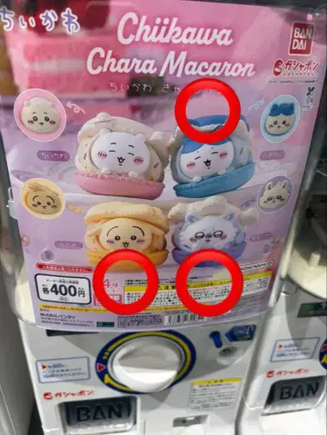 치이카와 Chara Macaron 가챠 3종