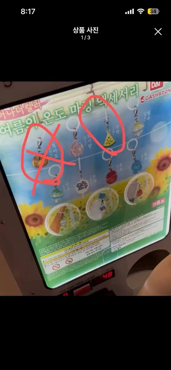 여름의 온도 메지루시 수박