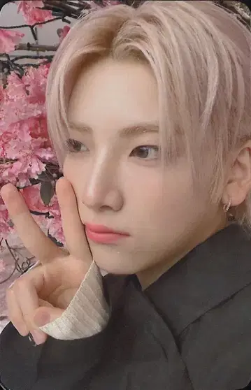 &TEAM YUMA 설명(Yukiakari) Weverse JAPAN 트레이딩 카드