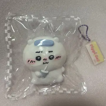 치이카와 스퀴즈