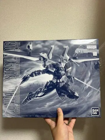 MG 1/100 건담 아스트레이 느와르