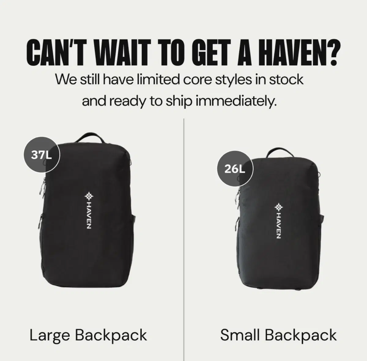 Haven large backpack 미사용품 박스 그대로