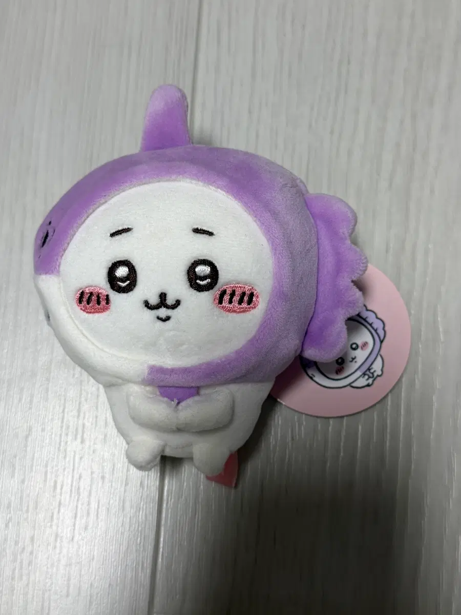 치이카와 수족관 개복치