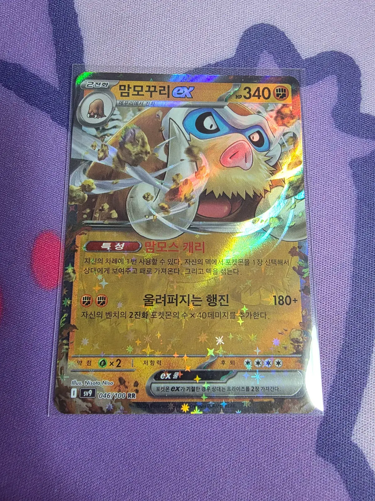 한국) 맘모꾸리ex rr [sv9 046/100]