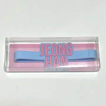 SEVENTEEN 정한 응원봉 액세서리