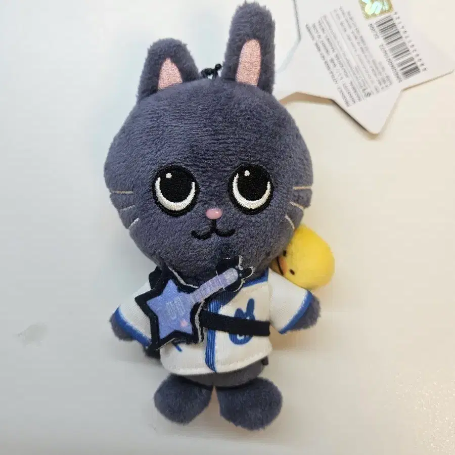 라이즈 원빈 리라즈 토냥덕 팝업 10cm