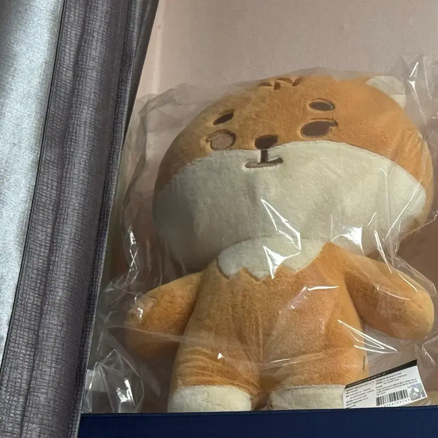 가격 변동 x / 데이식스 자이언트 쁘멀 케 자쁘멀