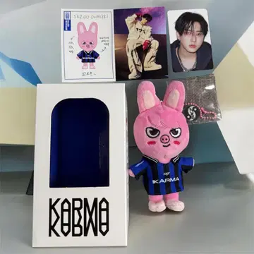 StrayKids 창빈 DWAEKKI 봉제 인형 트레이딩 카드 KARMA