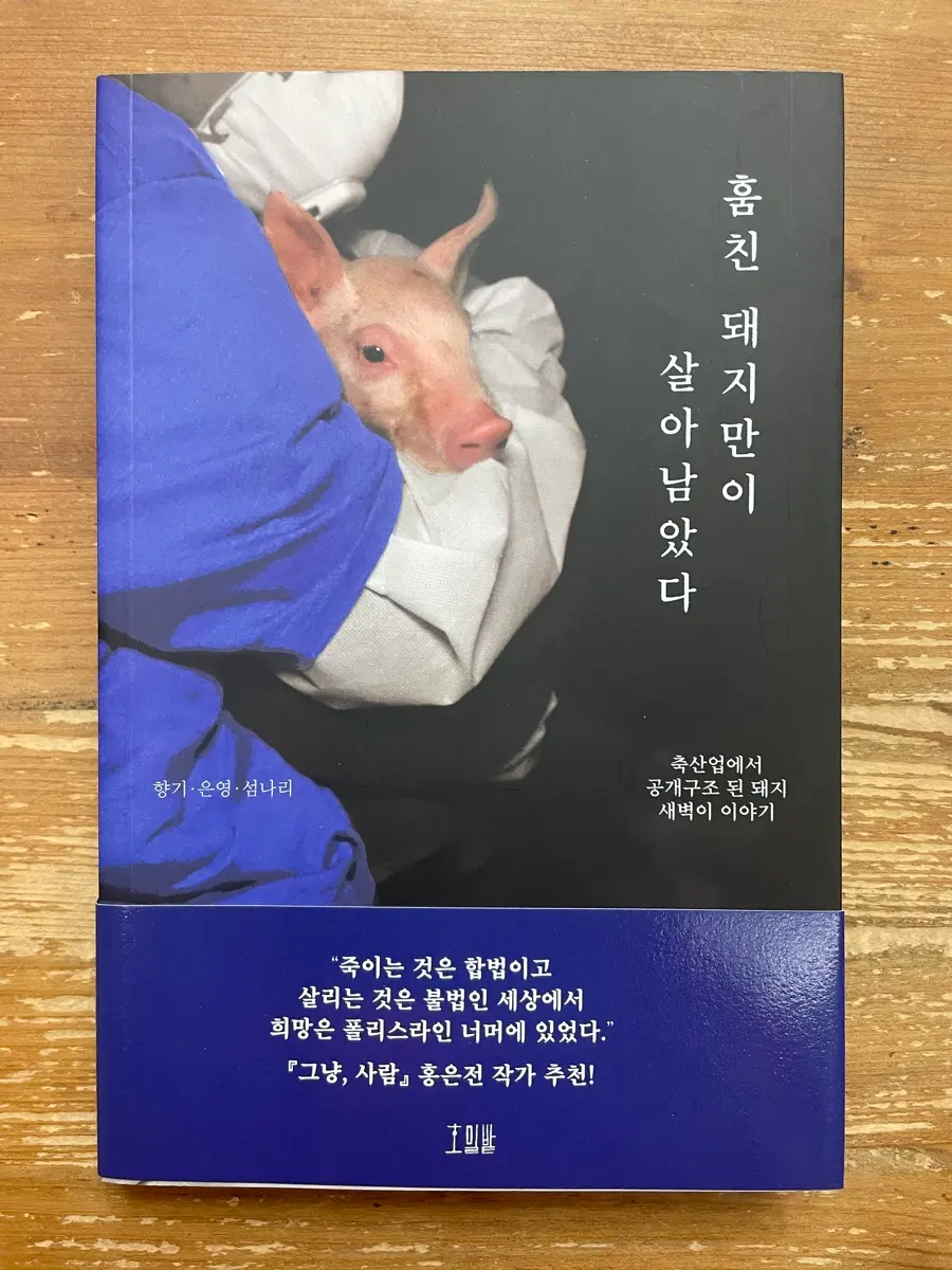 훔친 돼지만이 살아남았다 - 향기