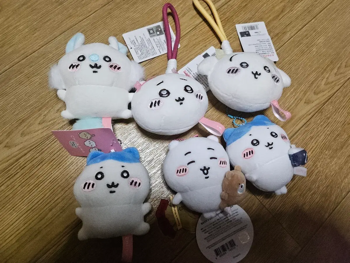 콩눈 하치와레 먼작귀, 모찌 치이카와