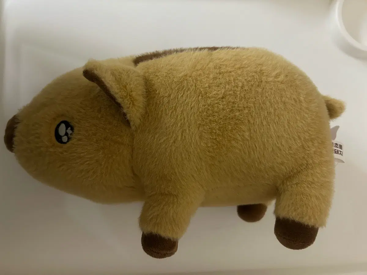 멧돼지 인형