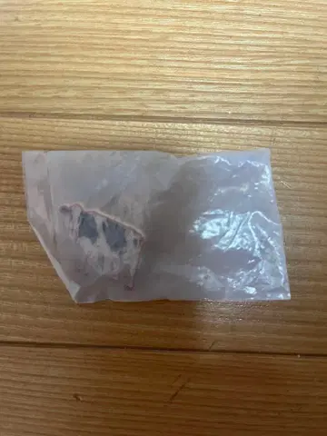 미사용 새상품 폴스미스 x 바버 핑 배지
