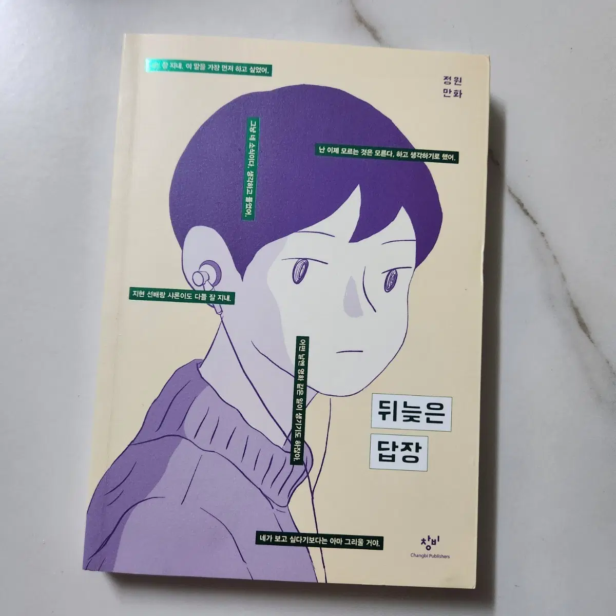 뒤늦은 답장 만화책