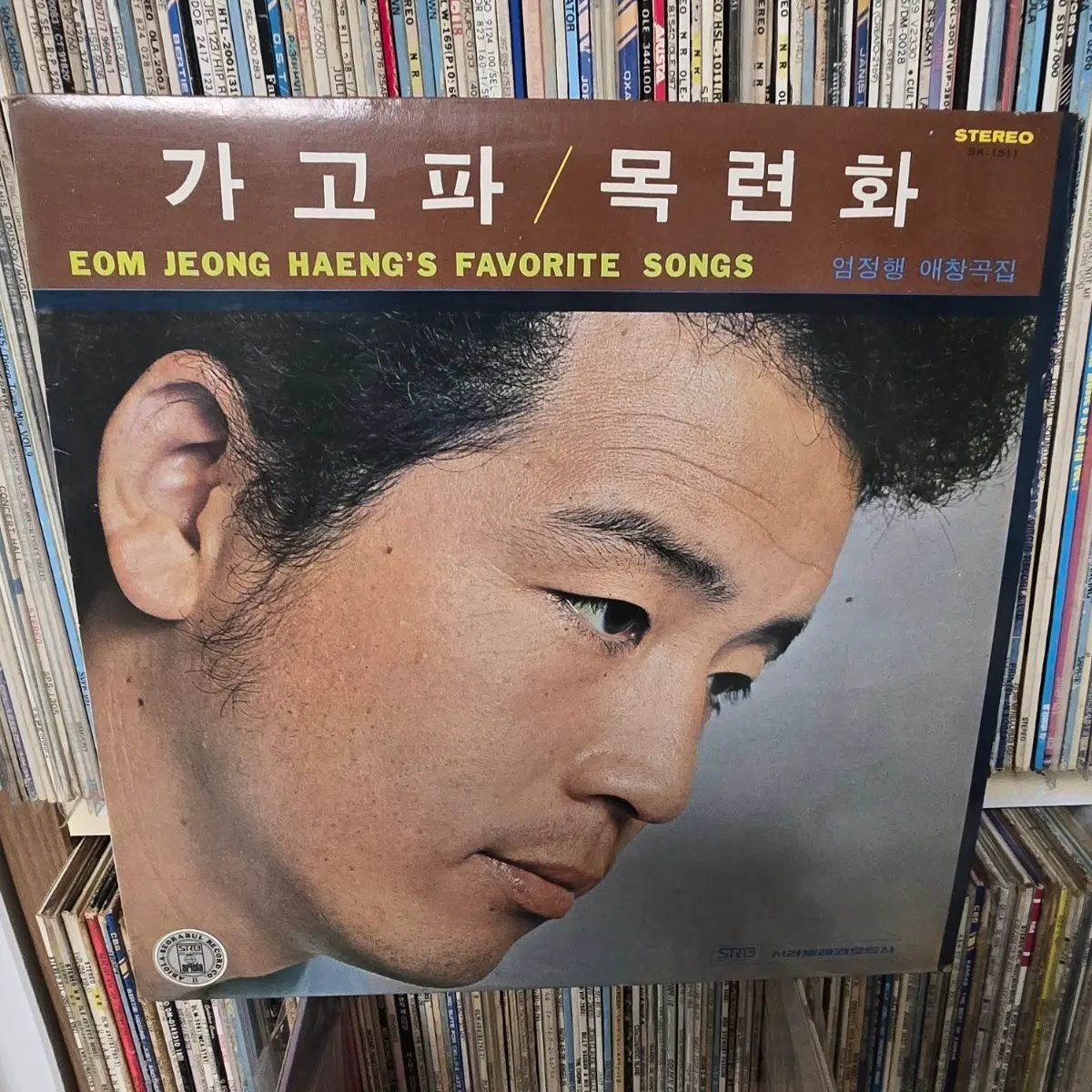 엄정행 가고파/목련화 애창곡집 LP판