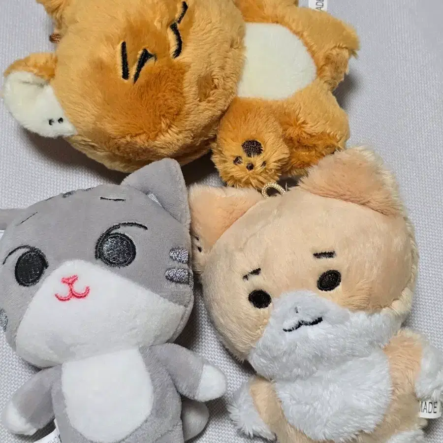 데이식스 영케이 비공식 10cm 동물인형 양도