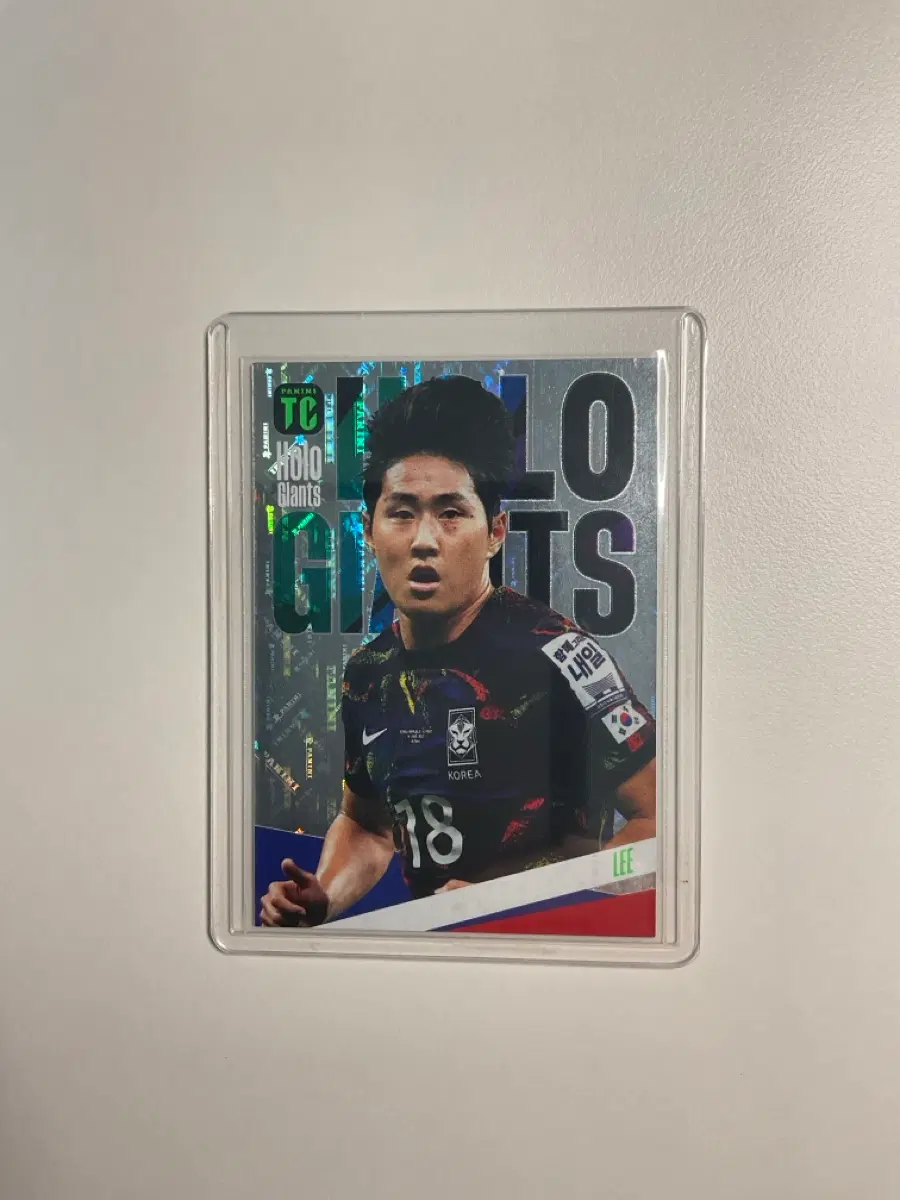 이강인 holo giants