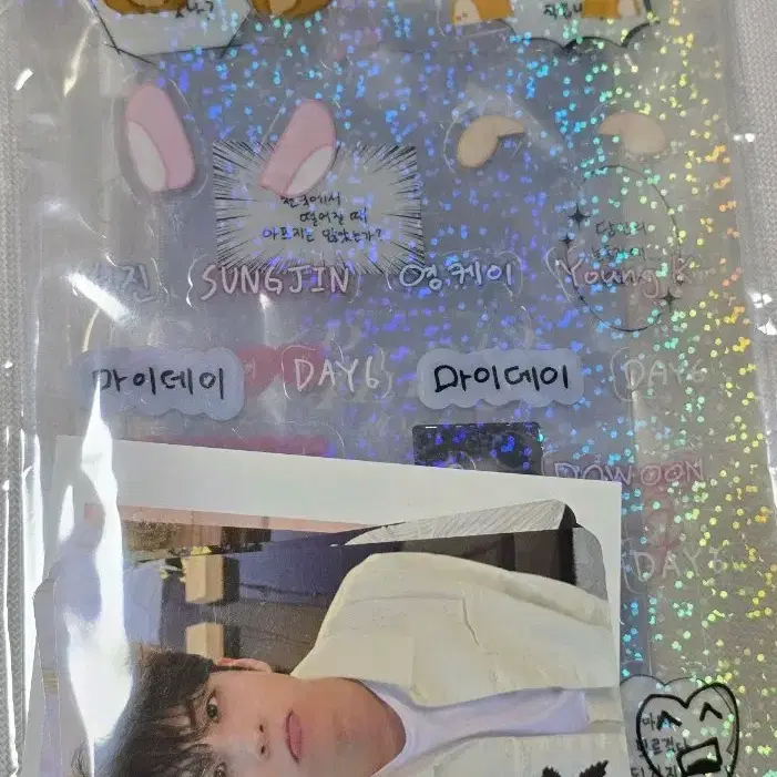 데이식스 피어텐 포토데코세트 양도