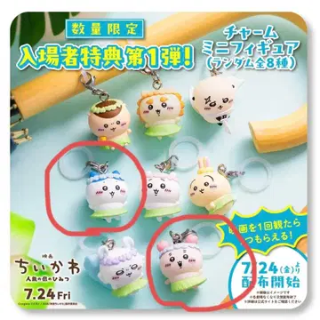 치이카와 영화 메지루시 참