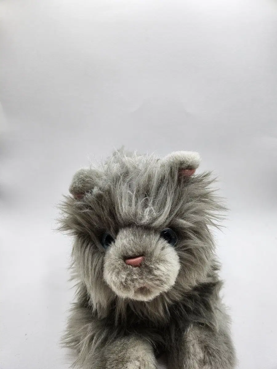 베이비 샤트룩스 고양이 인형