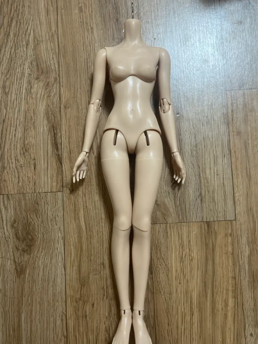 판프 fanff 마두체 msd 1/4 바디 라이트탠 스킨