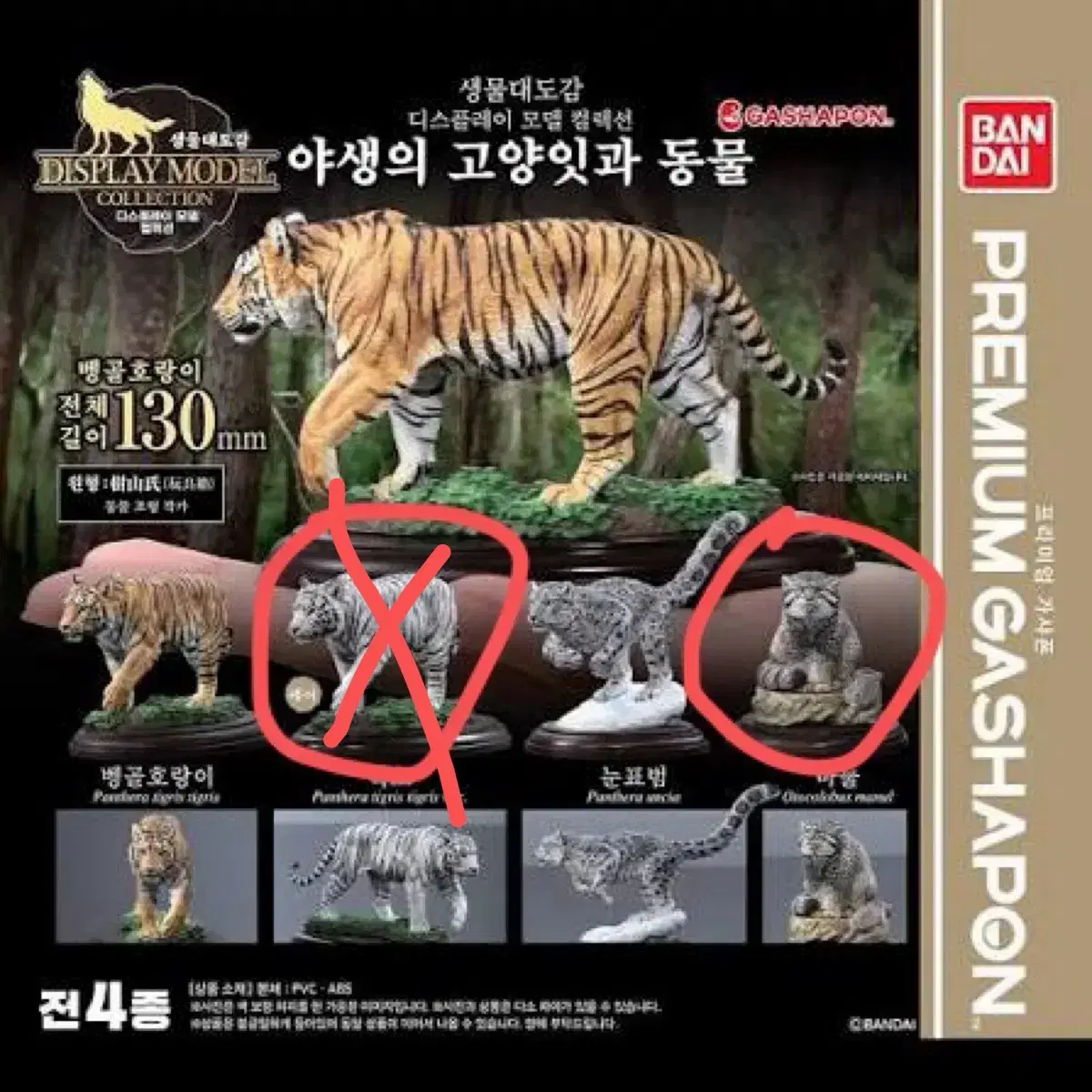 생물대도감 고양잇과 마눌고양이 가챠