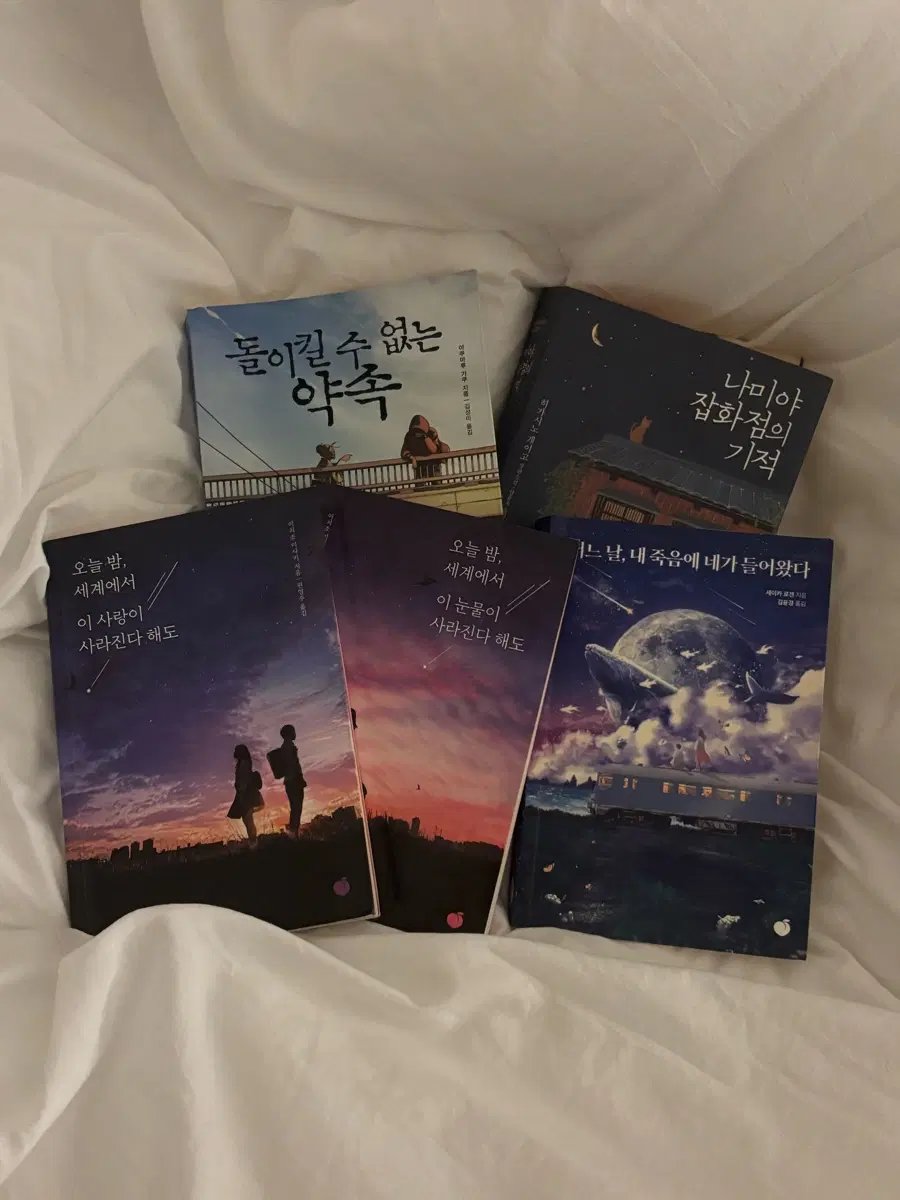 일본 소설 / 일괄
