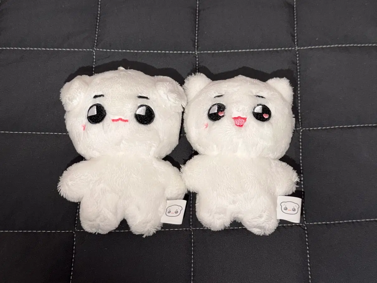 툥야 툥냐 양도