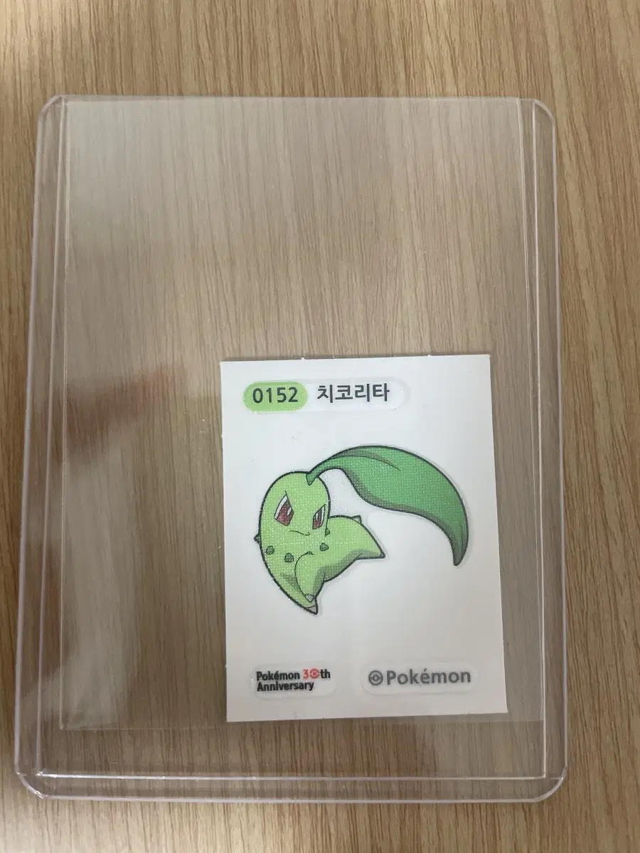 포켓몬스터 30주년 띠부 띠부씰 0380 치코리타 판매 (탑로더 포함 안전배송)