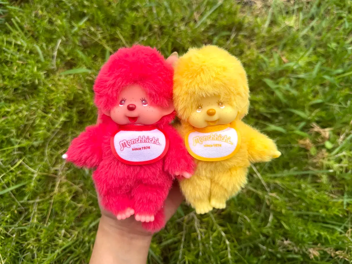 몬치치 판타지 컬러즈
