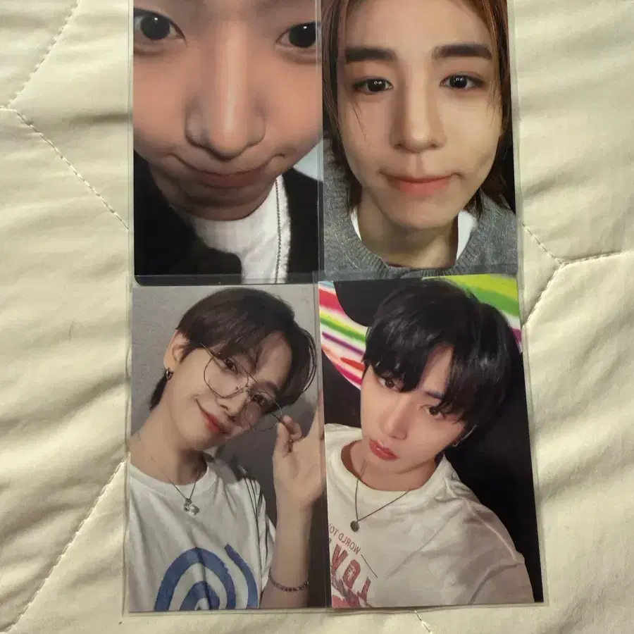 보넥도 포카 팔아요