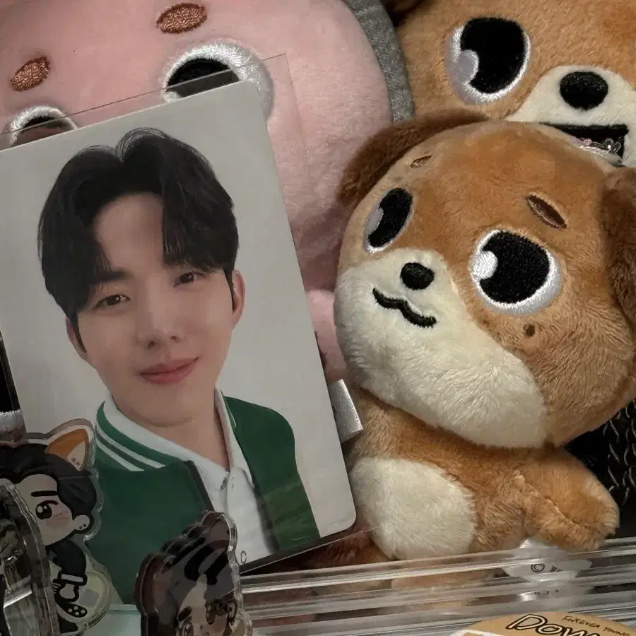 데이식스 도운 돈 일본 굿즈 백참 (포카포함)