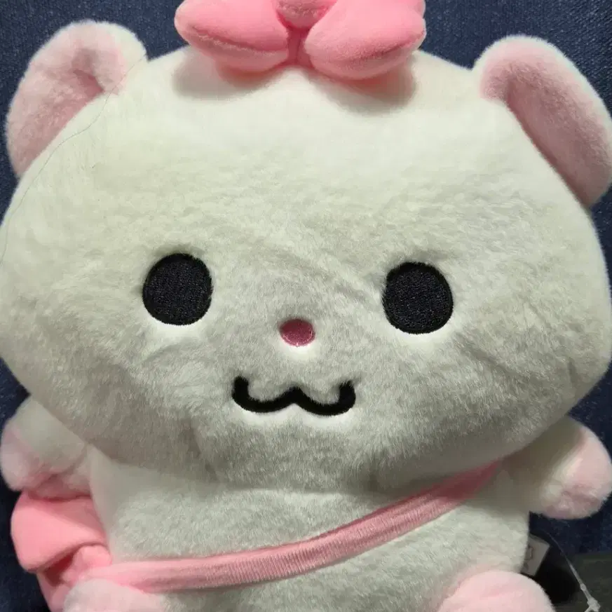 햄랑이 쪼롱이