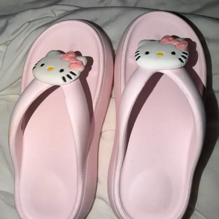 키티 쪼리