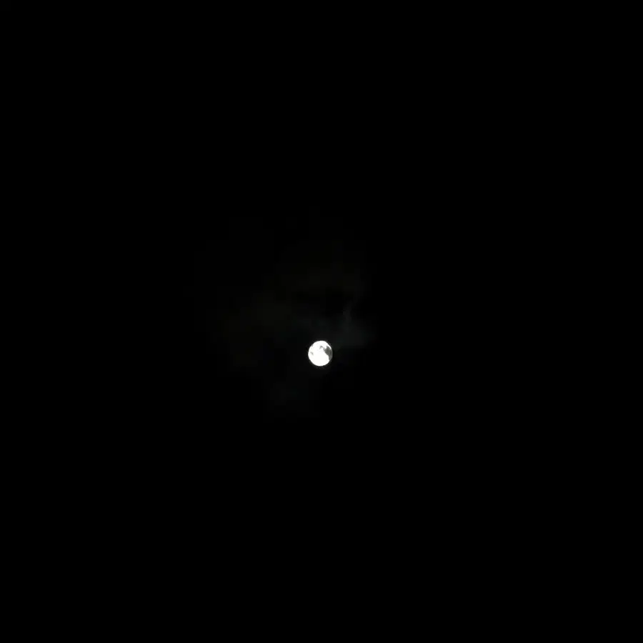 달사진