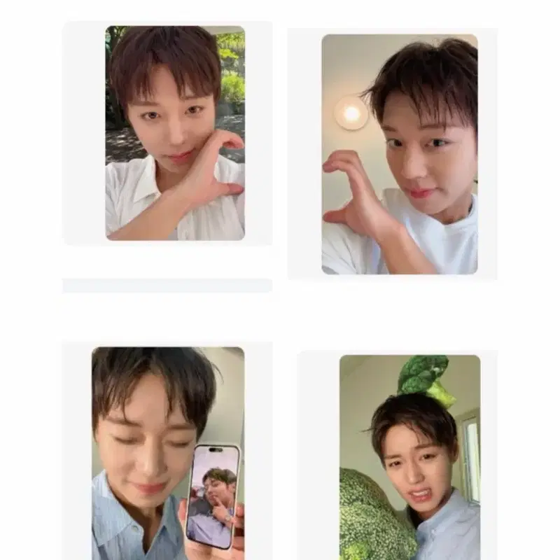 박지훈 포맨트 포토 카드