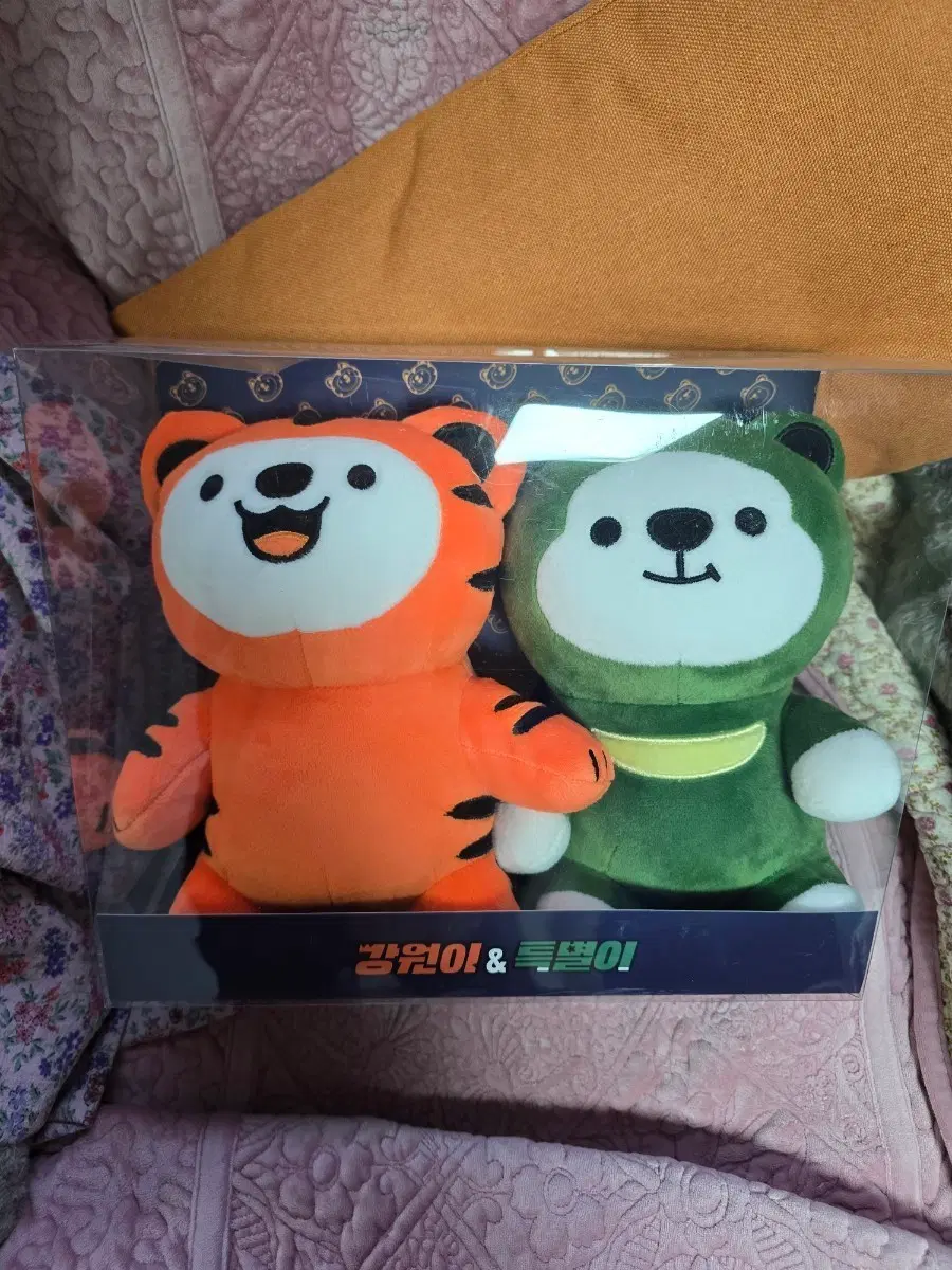강원이특별이인형