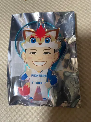 니시카와 하루키 오로라 키링