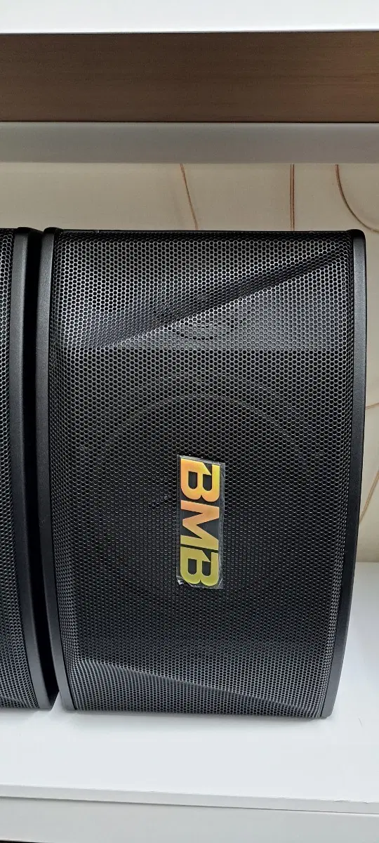 BMB CSN-510 스피커