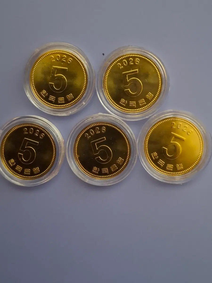 2026 한국은행 5원 동전 완전미사용(개당가격입니다)